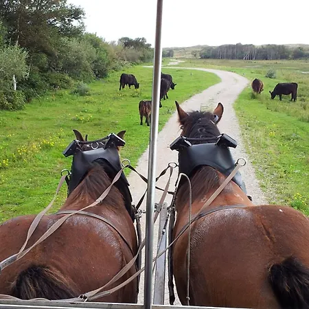 Luxe Texel 8-10 Personen Met Sauna Krim 95 * De Cocksdorp (Texel)